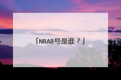 NBA8号是谁？