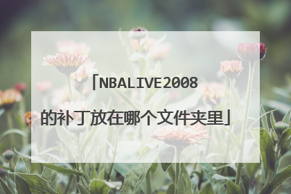 NBALIVE2008的补丁放在哪个文件夹里