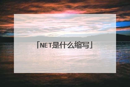 NET是什么缩写