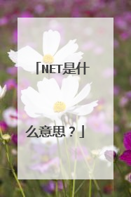NET是什么意思？