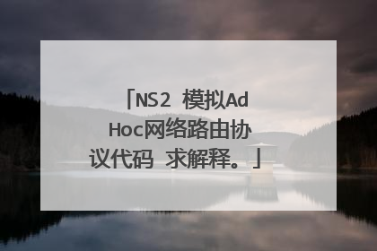 NS2 模拟Ad Hoc网络路由协议代码 求解释。