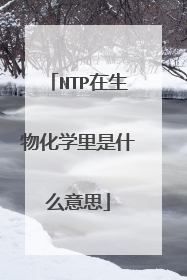 NTP在生物化学里是什么意思