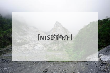 NTS的简介