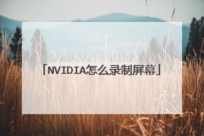 NVIDIA怎么录制屏幕