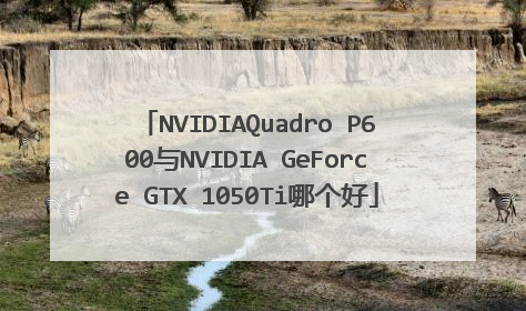 NVIDIAQuadro P600与NVIDIA GeForce GTX 1050Ti哪个好