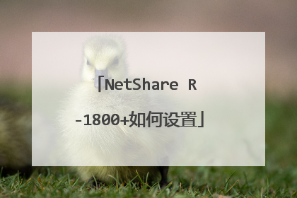 NetShare R-1800+如何设置