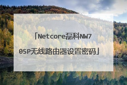 Netcore磊科NW705P无线路由器设置密码