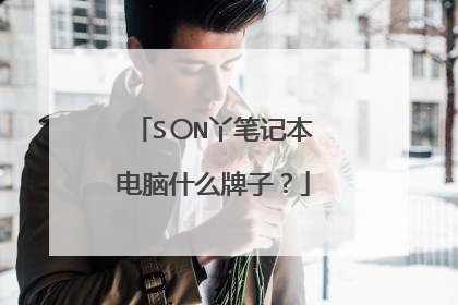 S〇N丫笔记本电脑什么牌子?