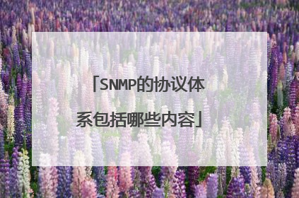 SNMP的协议体系包括哪些内容