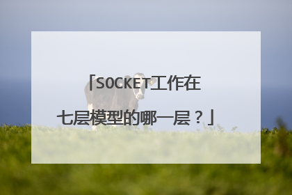 SOCKET工作在七层模型的哪一层？