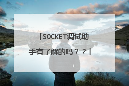 SOCKET调试助手有了解的吗？？