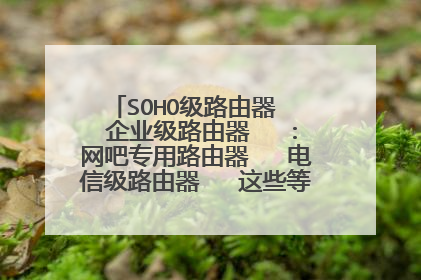 SOHO级路由器 企业级路由器 :网吧专用路由器 电信级路由器 这些等级按什么划分?