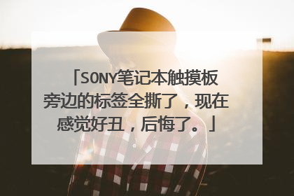 SONY笔记本触摸板旁边的标签全撕了，现在感觉好丑，后悔了。