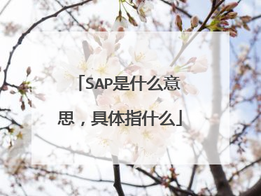 SAP是什么意思,具体指什么