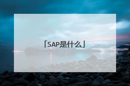 SAP是什么