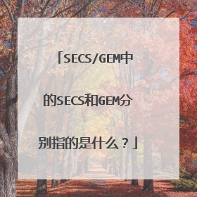 SECS/GEM中的SECS和GEM分别指的是什么?