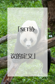 SET协议的定义