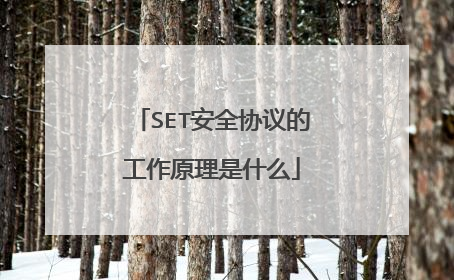 SET安全协议的工作原理是什么