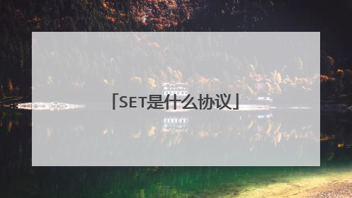 SET是什么协议