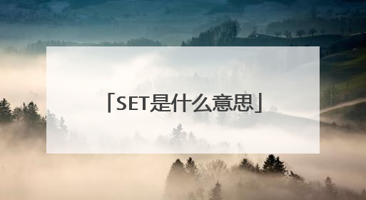 SET是什么意思