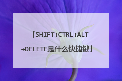 SHIFT+CTRL+ALT+DELETE是什么快捷键
