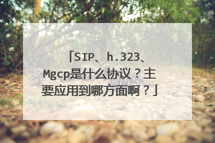 SIP、h.323、Mgcp是什么协议?主要应用到哪方面啊?