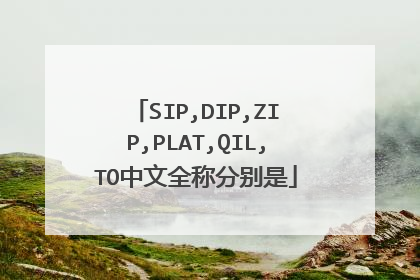 SIP,DIP,ZIP,PLAT,QIL,TO中文全称分别是