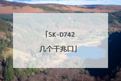 SK-D742 几个千兆口
