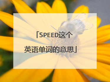 SPEED这个英语单词的意思