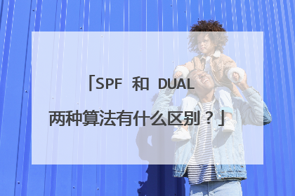 SPF 和 DUAL 两种算法有什么区别?