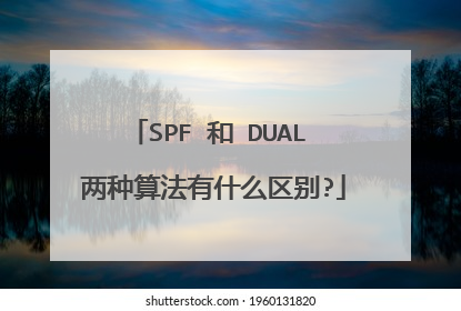 SPF 和 DUAL 两种算法有什么区别?