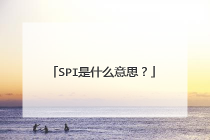 SPI是什么意思?