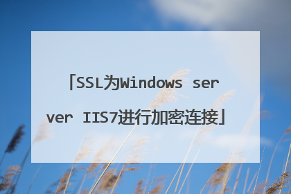SSL为Windows server IIS7进行加密连接