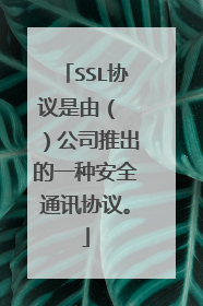 SSL协议是由( )公司推出的一种安全通讯协议。