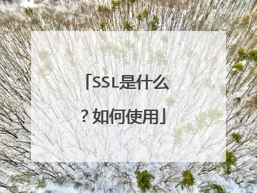 SSL是什么?如何使用