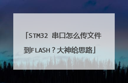 STM32 串口怎么传文件到FLASH？大神给思路