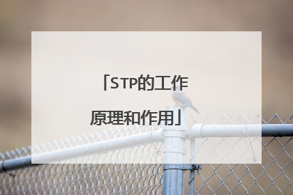 STP的工作原理和作用