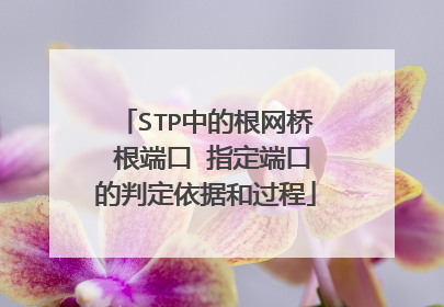 STP中的根网桥 根端口 指定端口的判定依据和过程