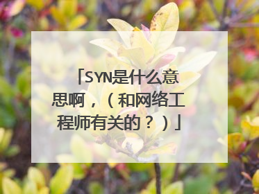 SYN是什么意思啊,(和网络工程师有关的?)