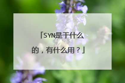 SYN是干什么的,有什么用?