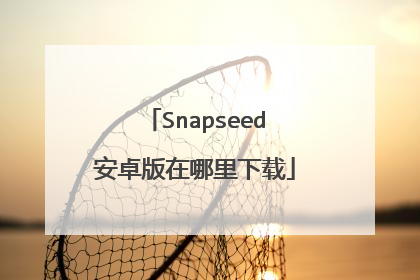 Snapseed安卓版在哪里下载