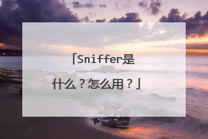 Sniffer是什么？怎么用？