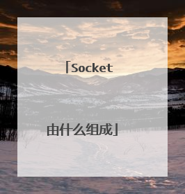 Socket由什么组成