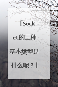Socket的三种基本类型是什么呢？