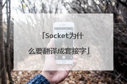 Socket为什么要翻译成套接字