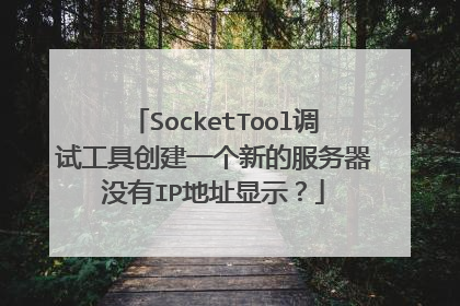 SocketTool调试工具创建一个新的服务器没有IP地址显示？