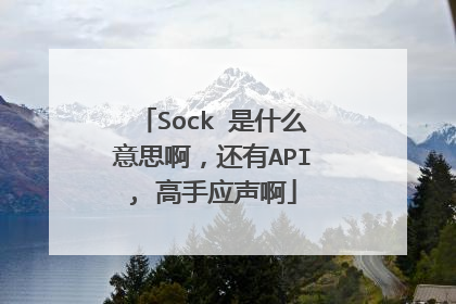 Sock 是什么意思啊,还有API, 高手应声啊