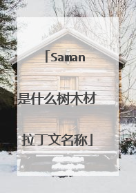 Saman是什么树木材拉丁文名称