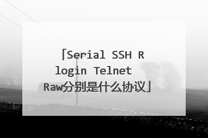 Serial SSH Rlogin Telnet Raw分别是什么协议