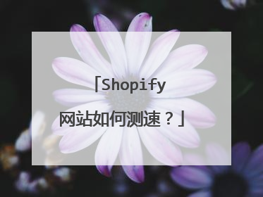 Shopify网站如何测速？